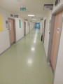 Children outpatient clinic	- P floor, room No. 6-10